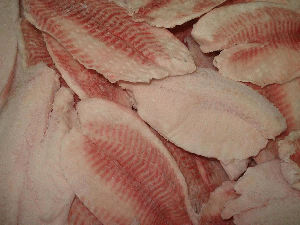 Tilapia Barracuda herring salmon mackerel chicken halal meat frozen sea food  filet fillet